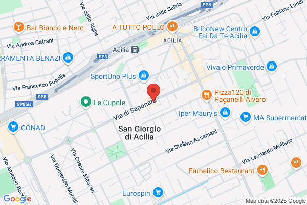Sanpaolo Imi S.P.A.