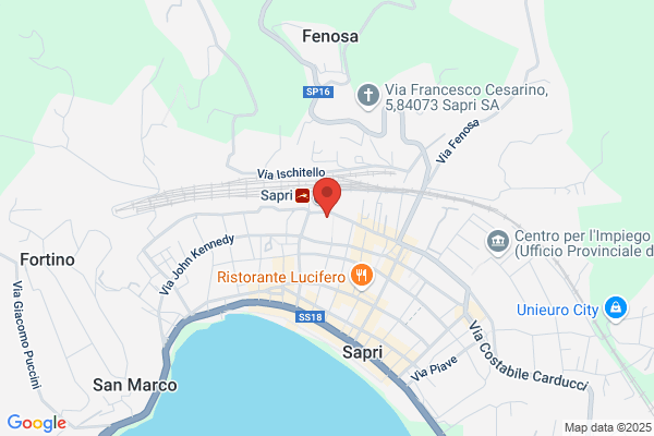 Manfredi vincenzo