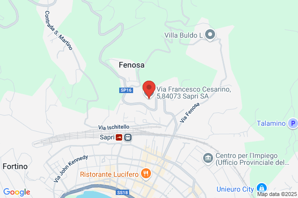 Vita francesco