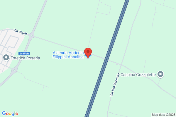 Filippini Anna