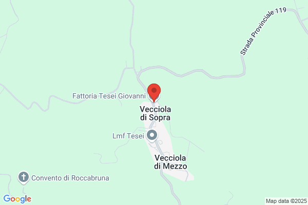 Tesei giovanni