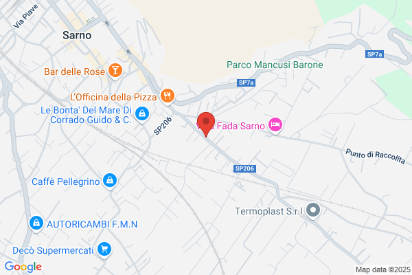 Annunziata Domenico Noleggio Autobus