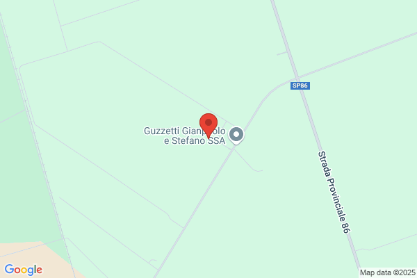 Guzzetti Gianmario