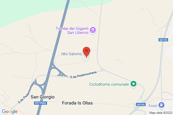 Salonis idio