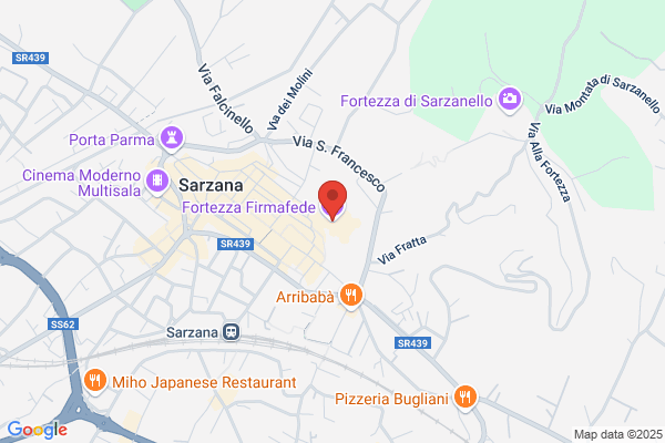 Generale Daspirazione Polveri Castrum Sarzanae Di Tedeschi enrico