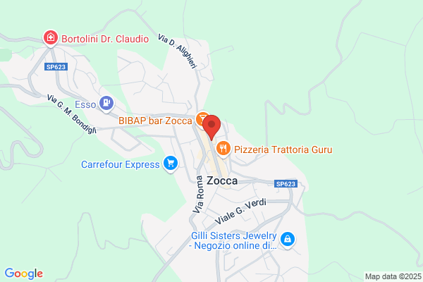 Zocca luca