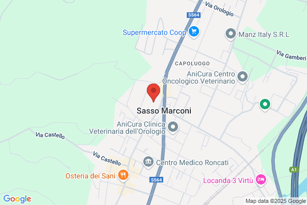 Scuola Elementare