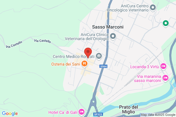 Segni Doro International Srl