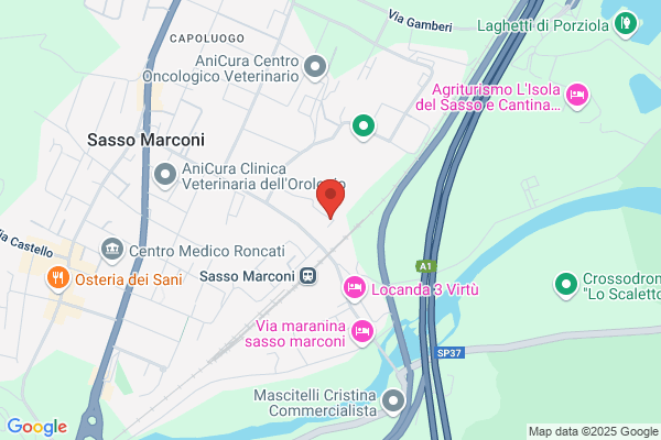 Infortunistica Marconi Di Giaginti Gina
