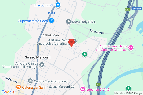 Arcotronics Italia Spa