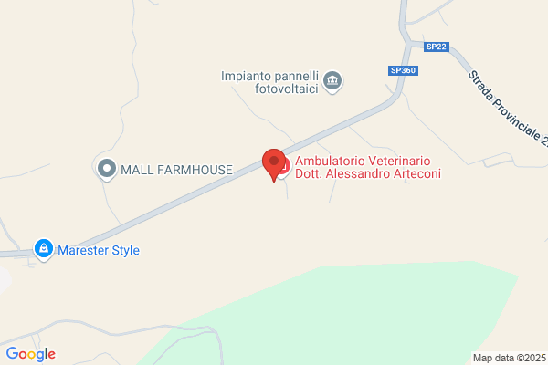 Sascaro agostino (Ing.)