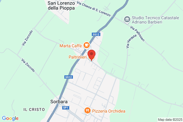 Paltrinieri nunzio