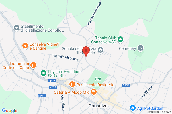 M.C.N. Comunication Srl