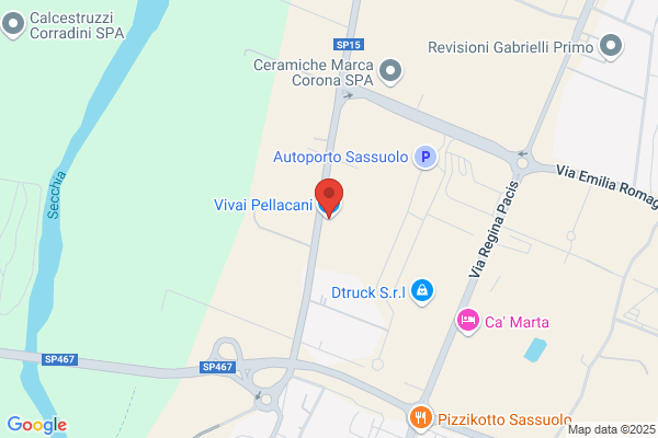 Pellacani giovanni