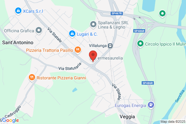 Ermesaurelia