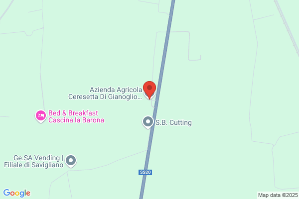 Sasia giuseppe