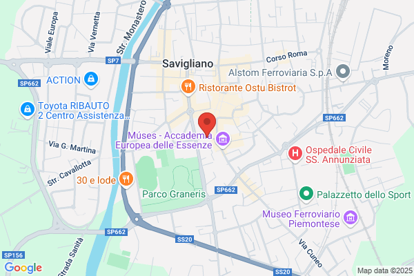 Partito Democratico Della Sinistra