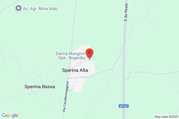 Dalma Mangimi S.P.A
