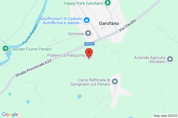 Palazzi Pietro E C. (S.N.C.)