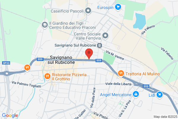 Palestra Acta