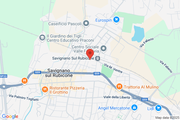 Fabbri Francesco