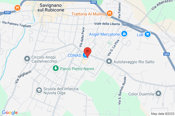Nuova Lavanderia Savignanese Di Tosi Monia