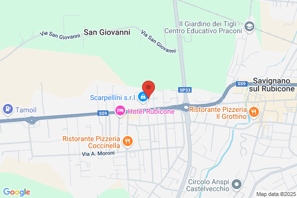 Mongiusti serena (Dr.)