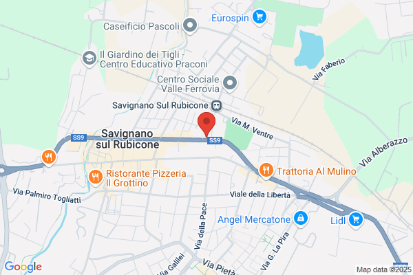 Paglierani vittorio