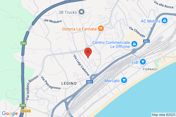 Pernorio leonardo