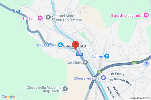 Palestra Olympic Club