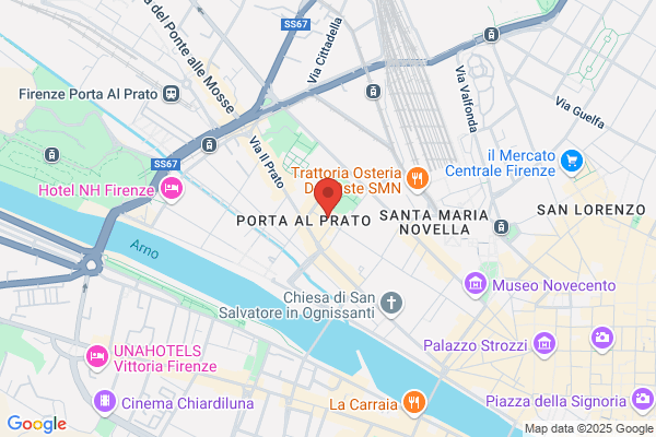 Lo Stregatto
