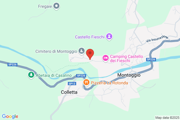 Traverso giovanna