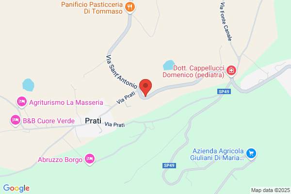 Degli Zar: Allevamento del Gatto Siberiano: Gattini, Cuccioli e Gatti Siberiani in Vendita Pescara Chieti Abruzzo