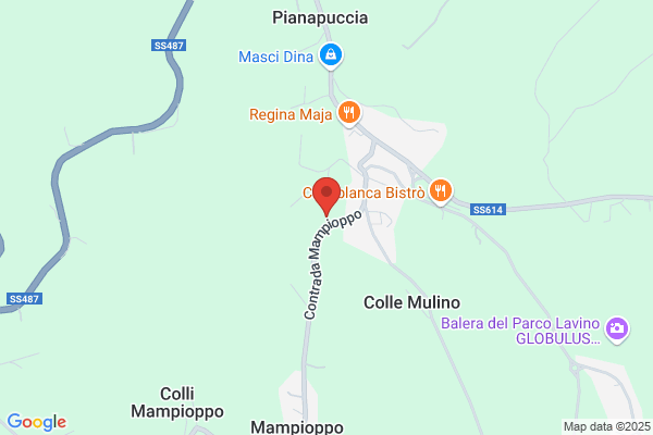 Marinelli carlo