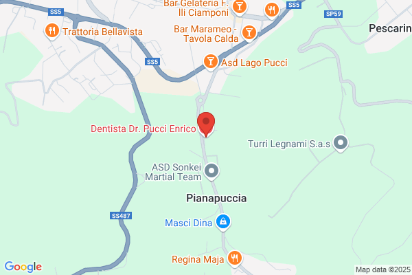 Pucci enrico (Dr.)