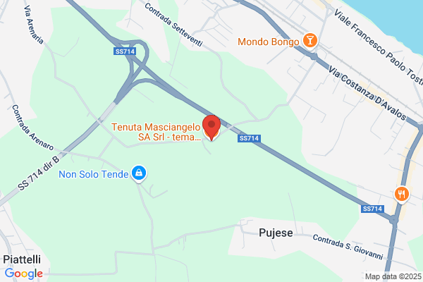 Tenuta Caracciolo Srl