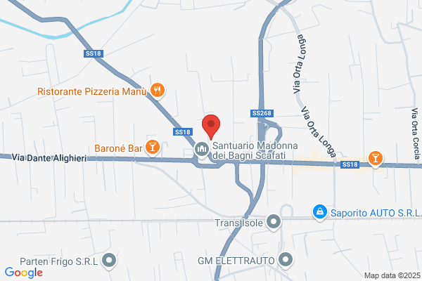 Scudieri gerardo (Rag.)