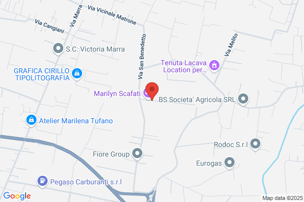 Cartotecnica Scafatese Di Malafronte & C. Sas