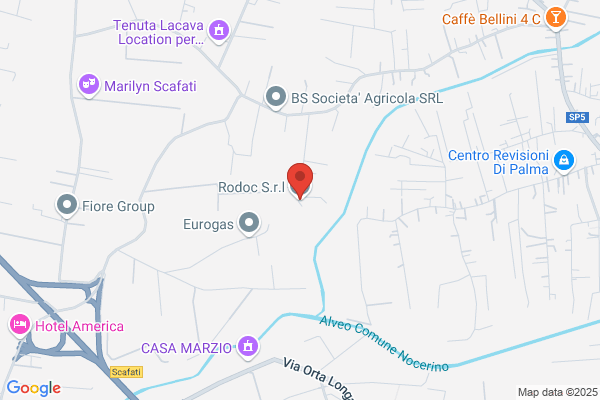 Rodoc S.R.L.