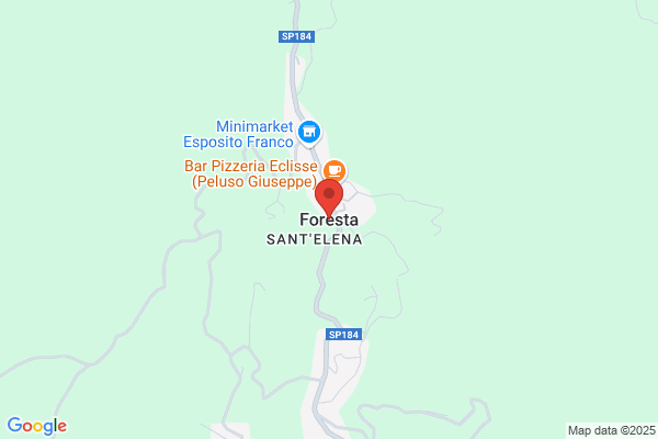 Forest S.R.L.