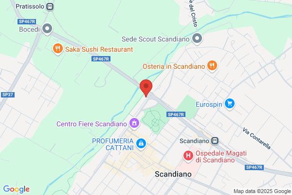 Scandiano Immobiliare (S.R.L.)
