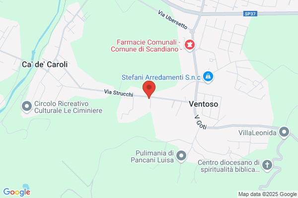 Palestra Comunale