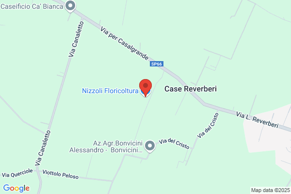 Nizzoli Floricoltura