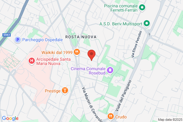 Ligabue antonio (Geom.)