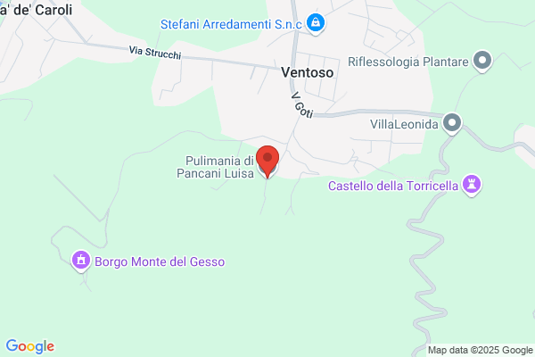 Pulimania Di Pancani Luisa