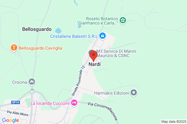 Naldini dante
