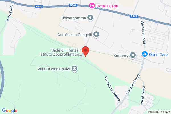 Ordine Medici Veterinari Provincia Di Firenze