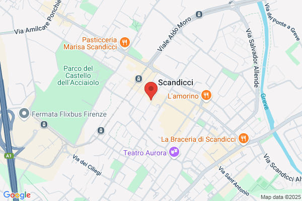 Palestra Gymnica
