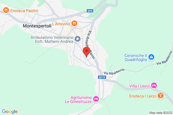 Istituto Di Estetica Di Paciscopi P. E cavallini g. snc