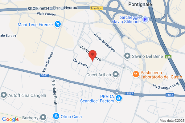 Ricci Illumina Di Batistini Maria Luisa